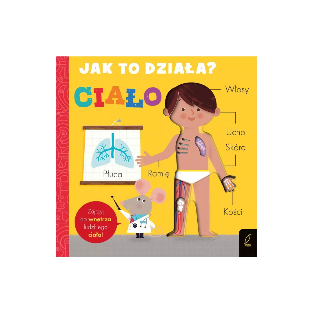 Jak to działa. CIAŁO | książka | Amelia Hepworth