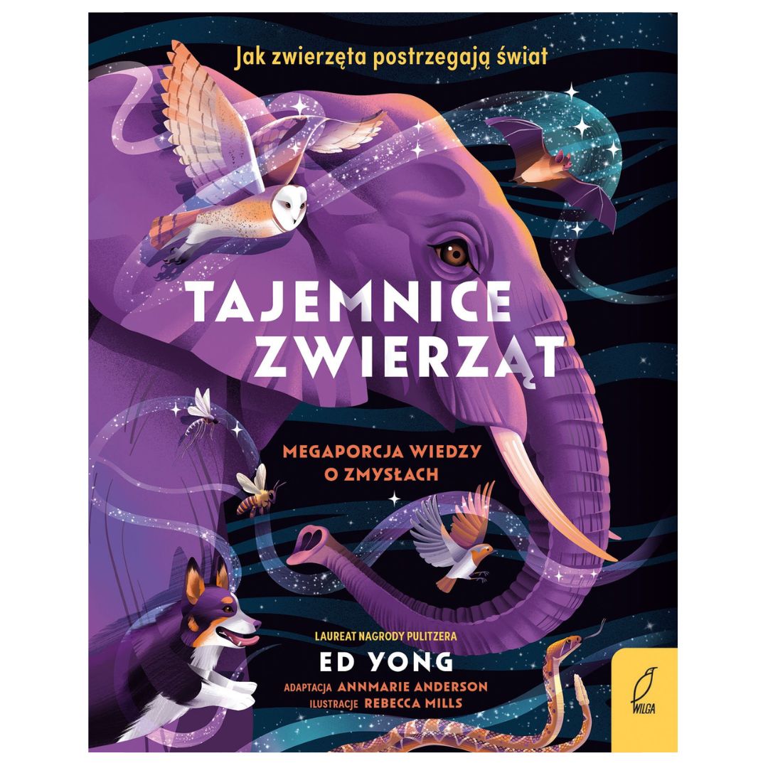 KSIĄŻKI - 2026-10-15T145643.695.jpg
