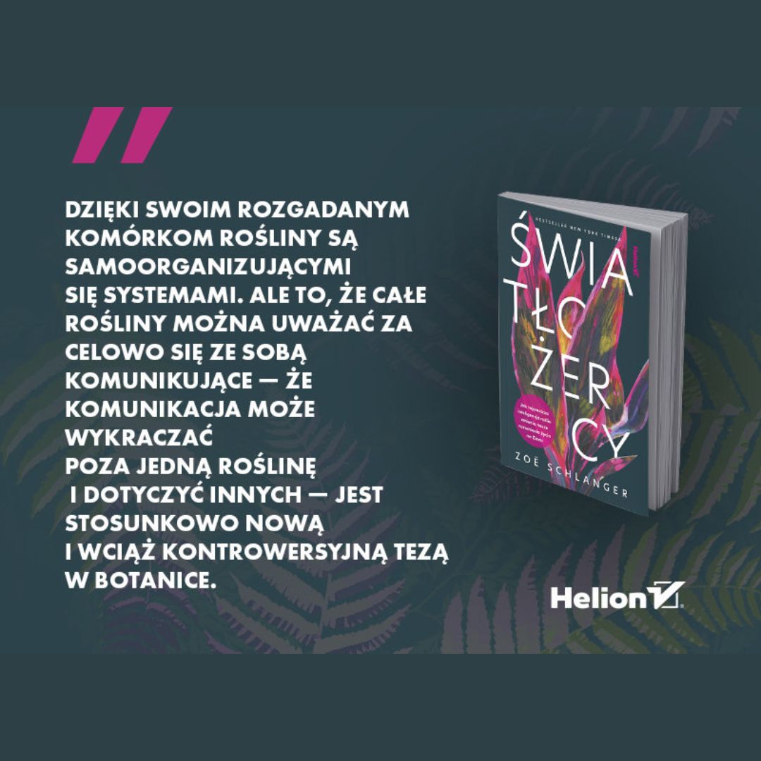 Światłożercy | książka | Zoë Schlanger