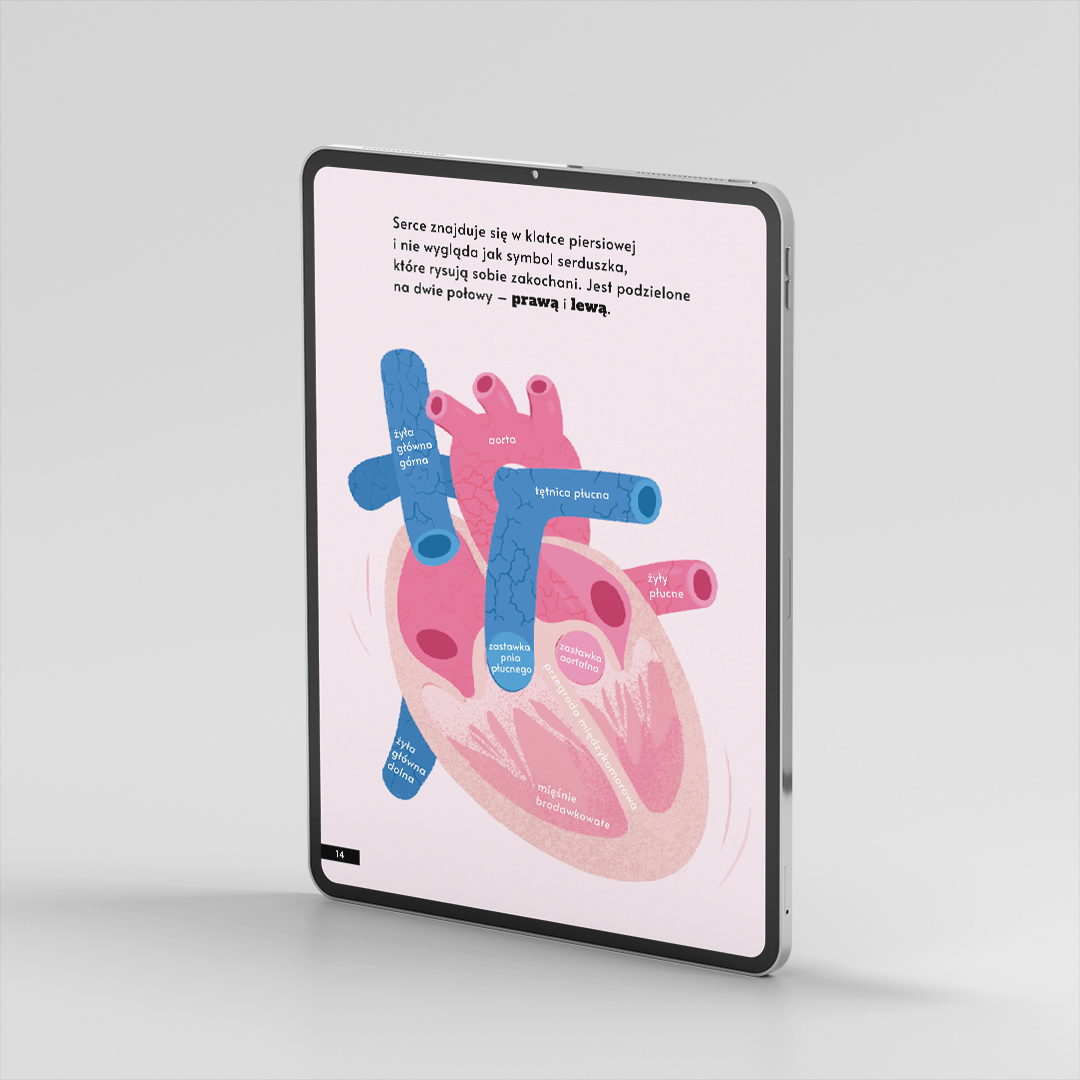 Jak działa człowiek? | e-book pdf | Tomasz Rożek